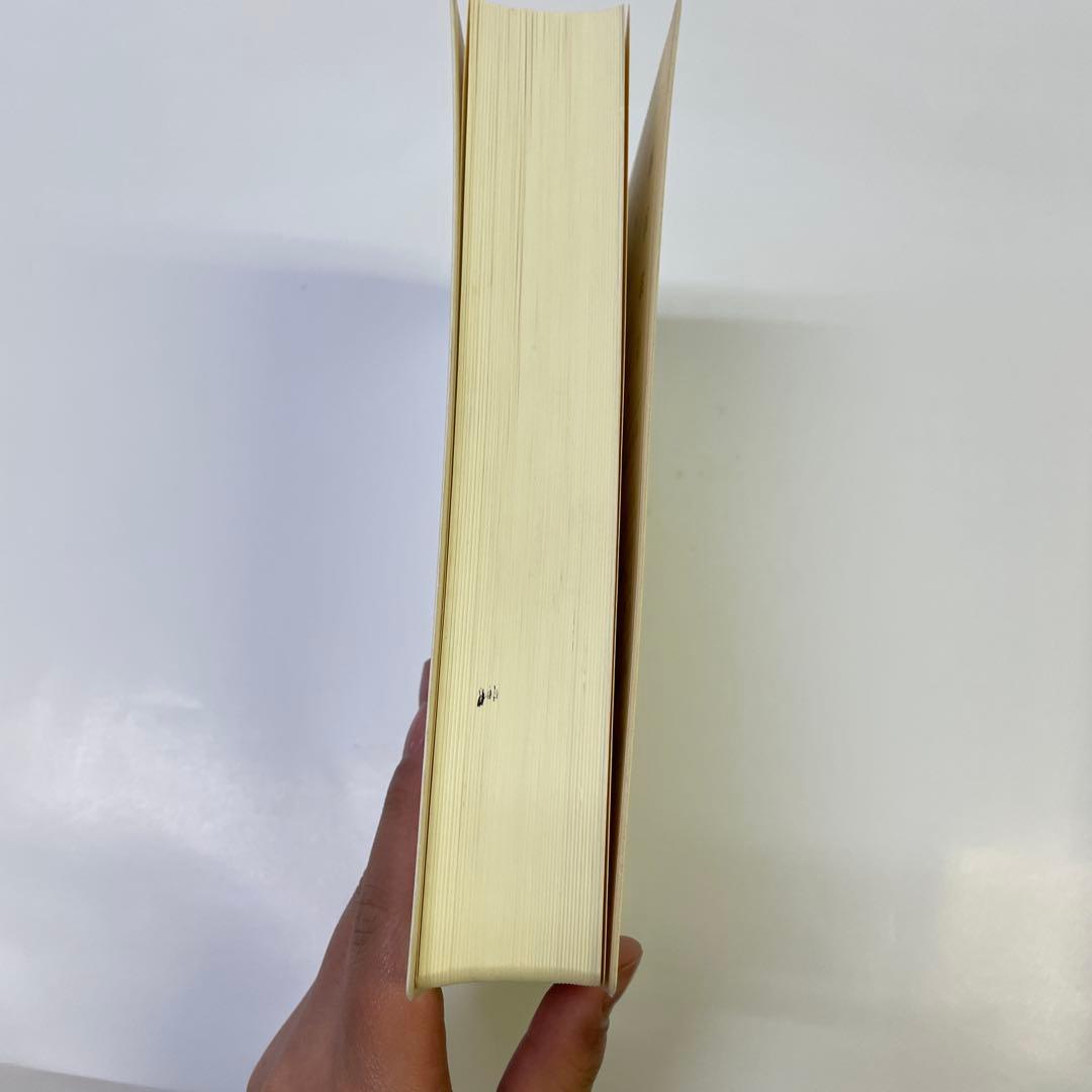 二玄社　何紹基辞典 中古