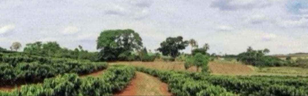 コーヒーメーカー・エスプレッソマシン K.M