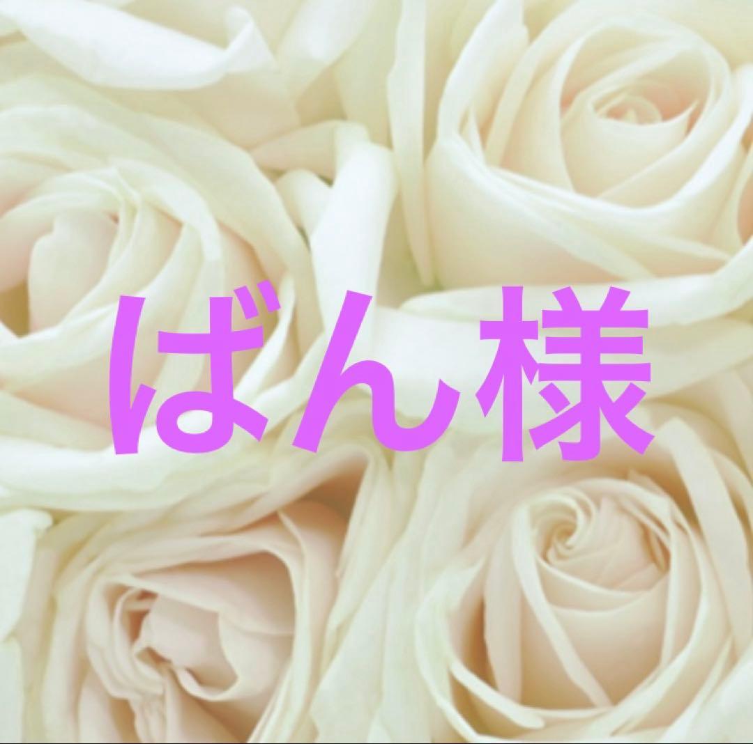 ばん様 オーダー オルゴナイト