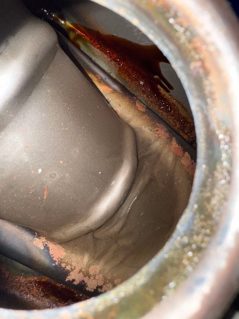 シーザーくん　…