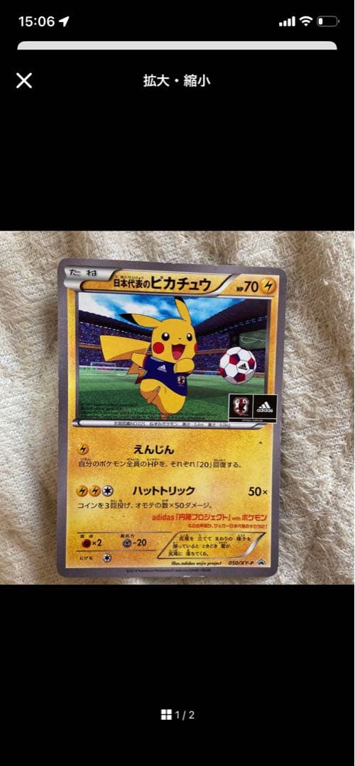 2014年限定日本代表のピカチュウ