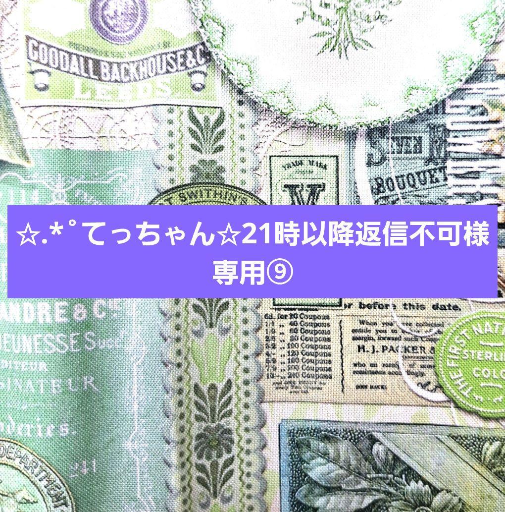 ✩.*˚てっちゃん✩21時以降返信不可⑨ブックカバー