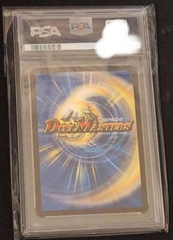 水上第九院シャコガイルB psa10