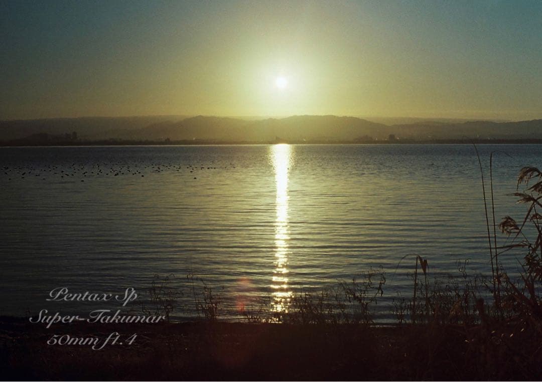 ★作例多数PENTAX SP/S.Takumarf1.4★完動品＊美品＊初期保証