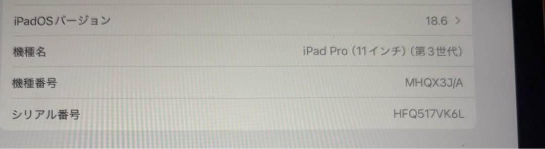 iPad Pro 11 第3世代 M1 512GB Wi-Fiモデル シルバー