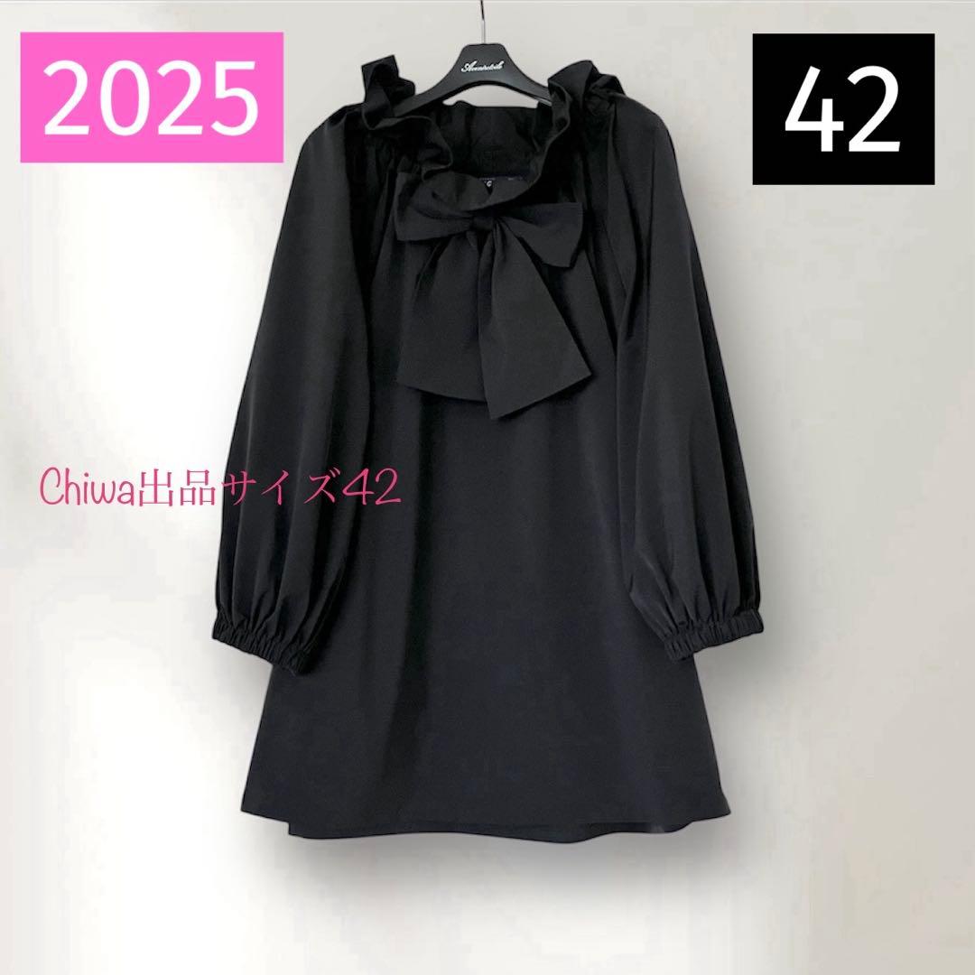 2025年エムズグレイシー　フリル襟リボン　チュニックブラウス　カタログ掲載42