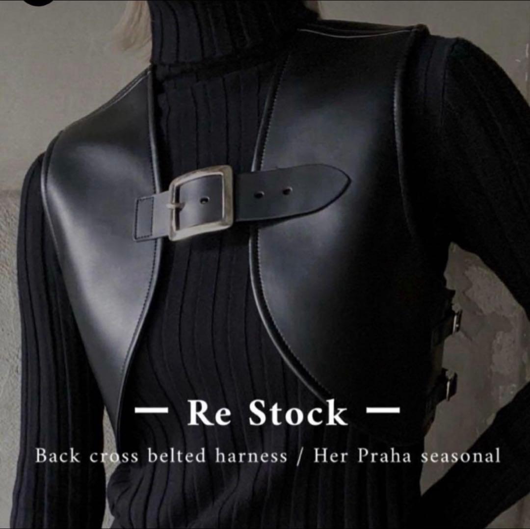 litmus リトマス Her Praha レザーハーネス