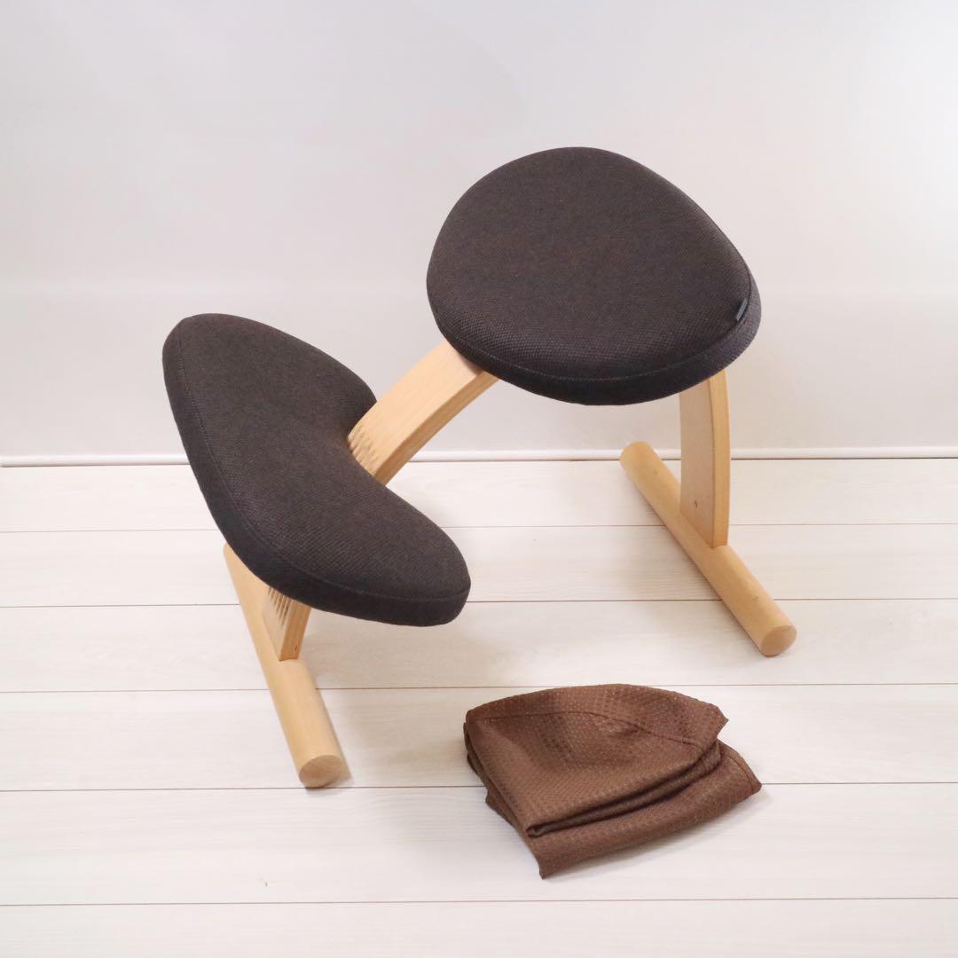 バランスイージー バランスチェア 通常フレーム 背筋矯正