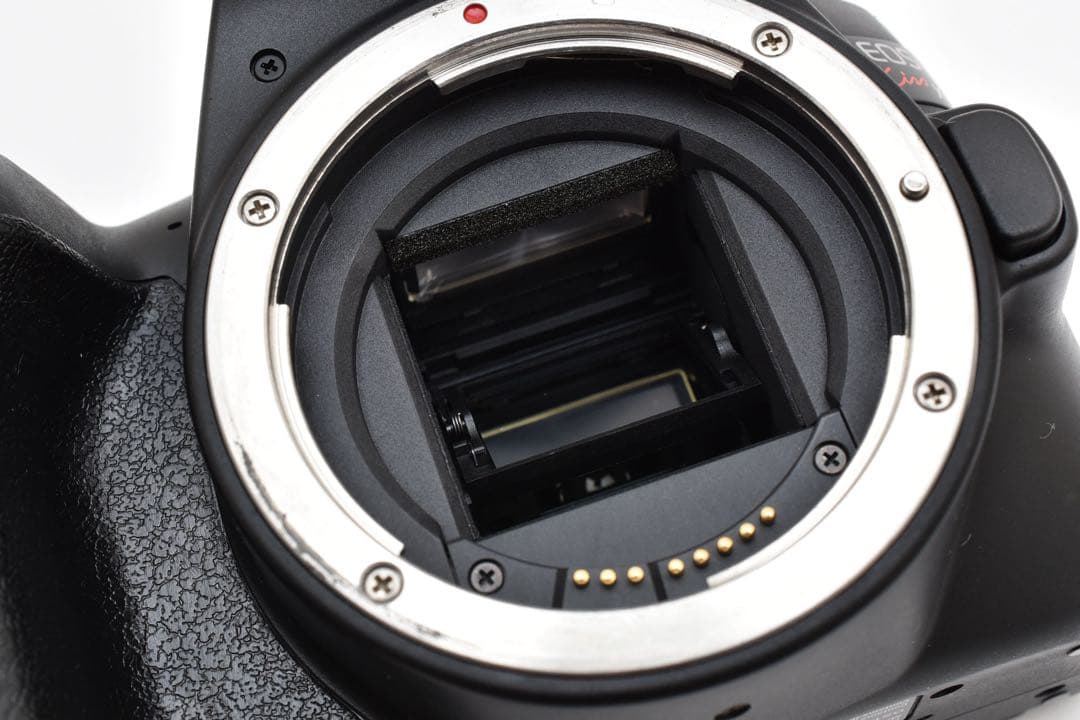 保証付き/Canon EOSKiss X10標準&望遠ダブルレンズセット