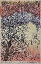 【真作】版画　技法不明　木のある風景　繊細な線描と色彩の調和　X50