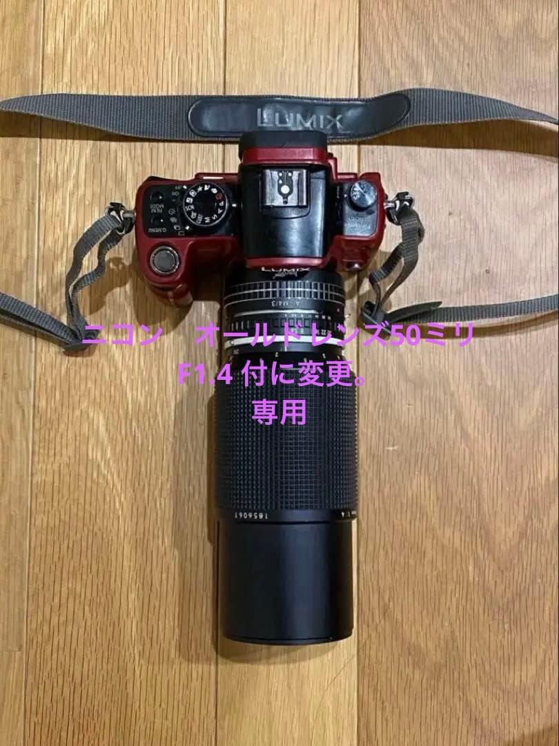 LUMIX G1 ミラーレス一眼　ニコンシリーズE 70-210 動作品　望遠