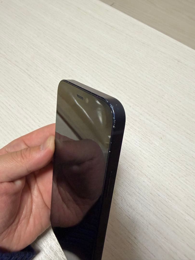 Apple iPhone 12 mini 256GB SIMフリー　本体のみ