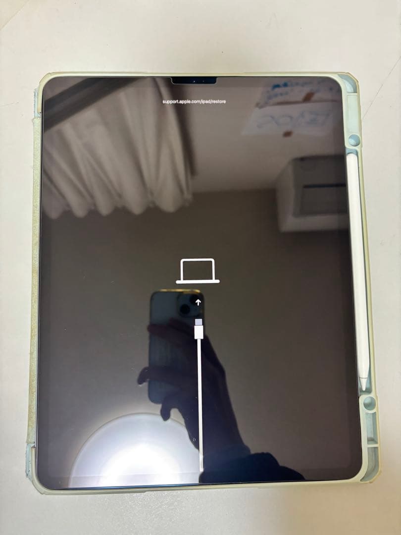 ジャンクiPad Pro 12.9第4世代128GB Apple Pencil