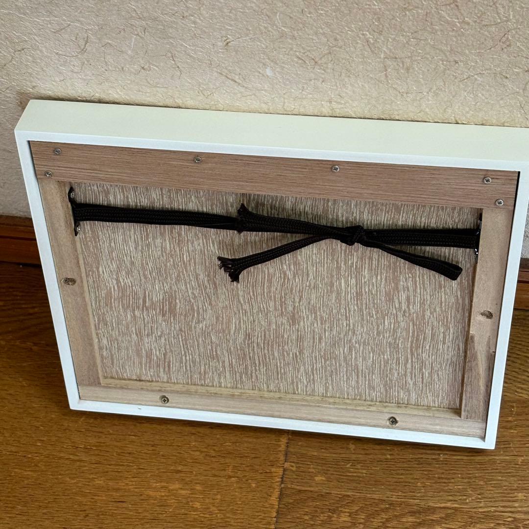 石川直樹 マナスル 写真 額縁入り サインシール付き