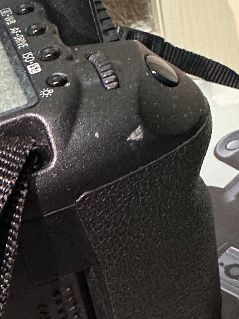 Canon EOS 5D Mark II【シャッター回数11,006回】