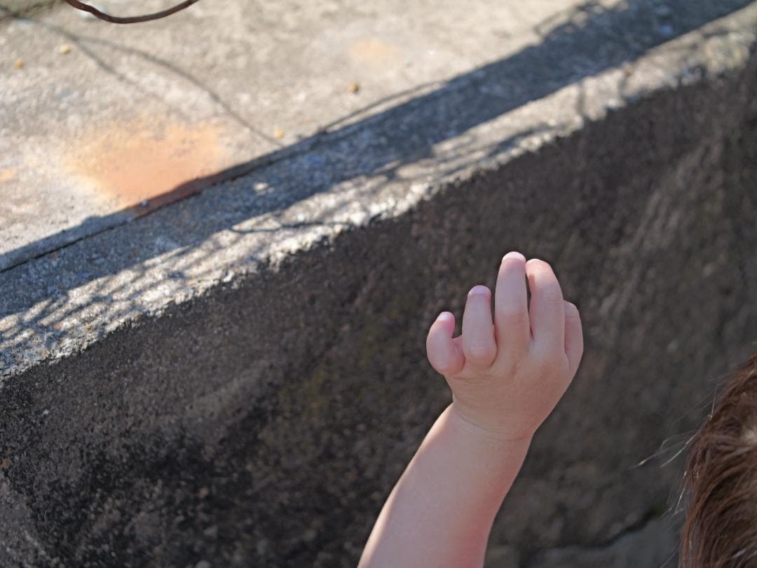 レンズ(単焦点) Panasonic Leica MACRO-ELMARIT 45mm F2.8