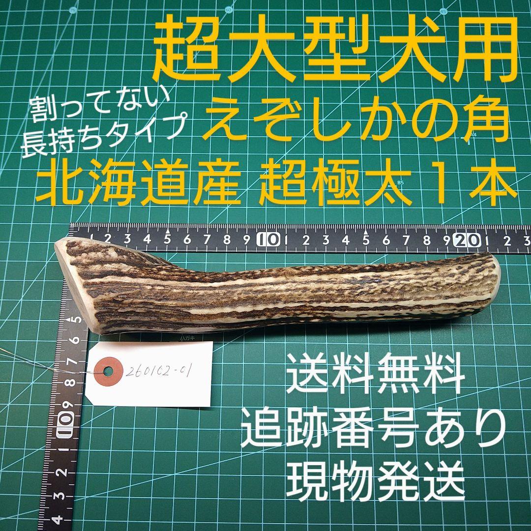 [あ]えぞ鹿の角 愛犬のおもちゃ