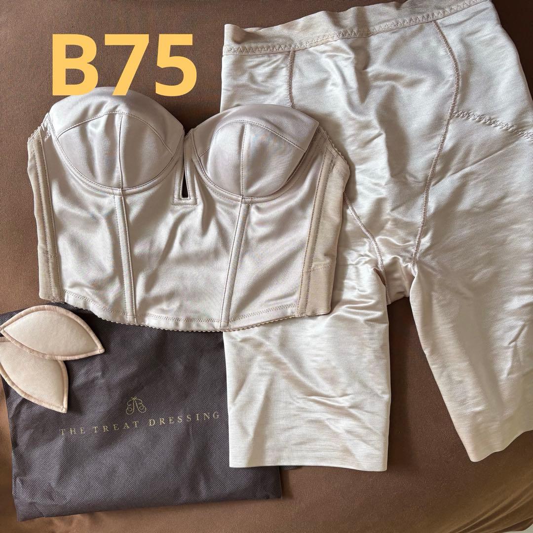 THE TREAT DRESSING ブラトップ セット