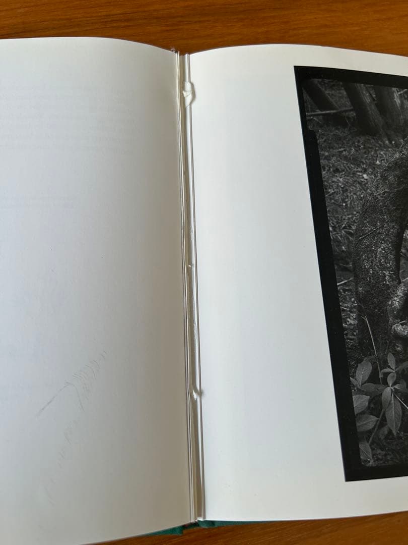 ポールハーデン paulharnden 100部限定　写真集