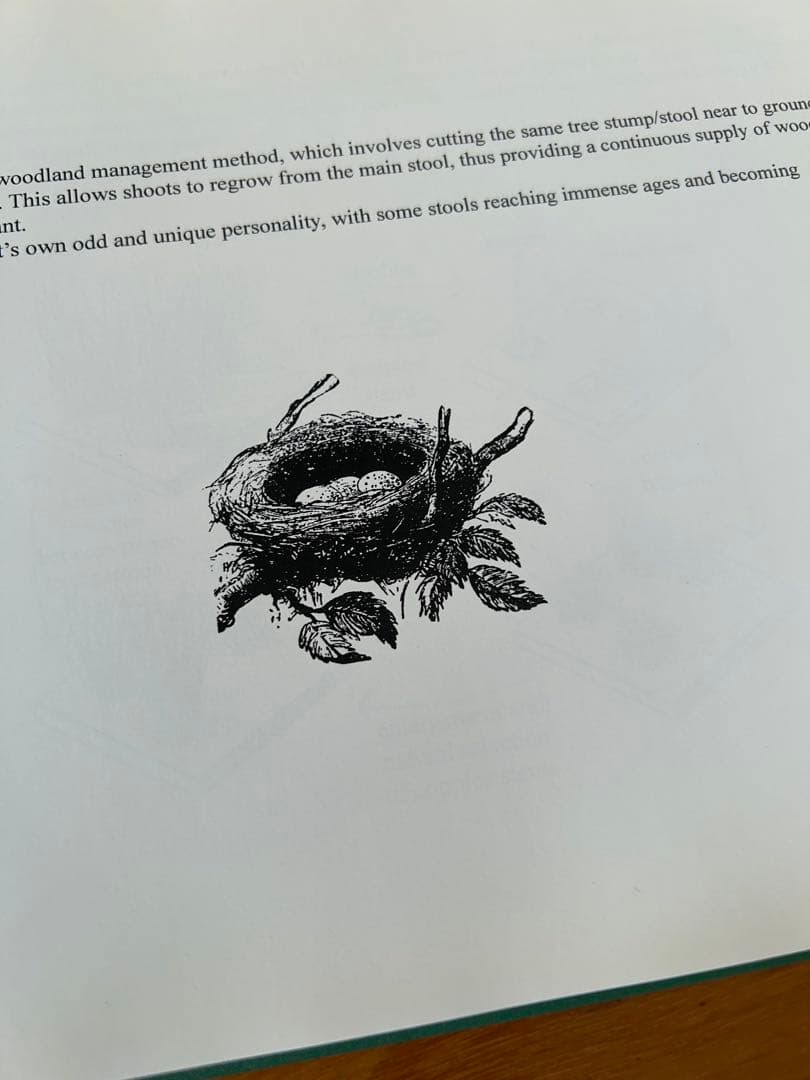 ポールハーデン paulharnden 100部限定　写真集