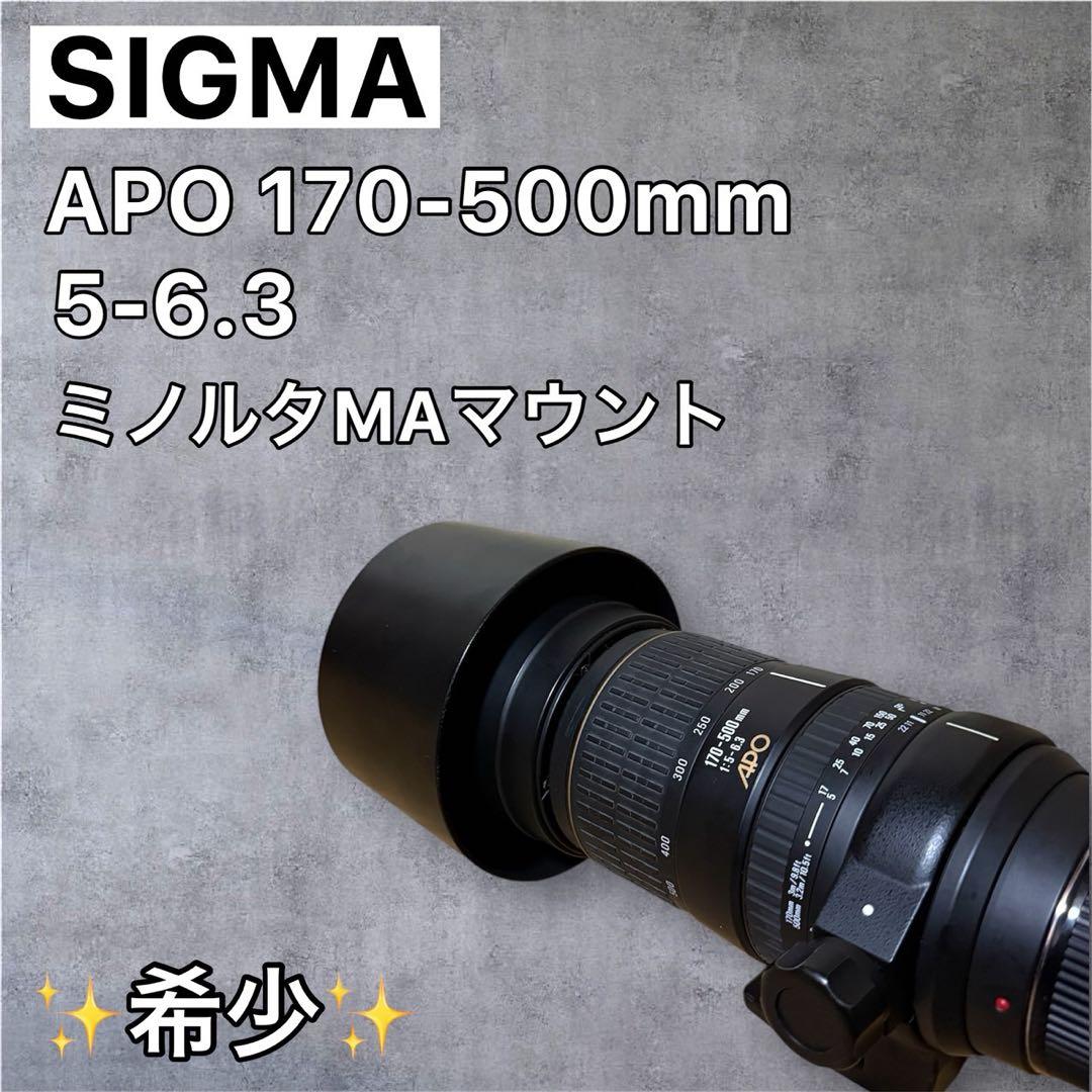 レンズ(ズーム) SIGMA APO 170-500mm 1:5-6.3