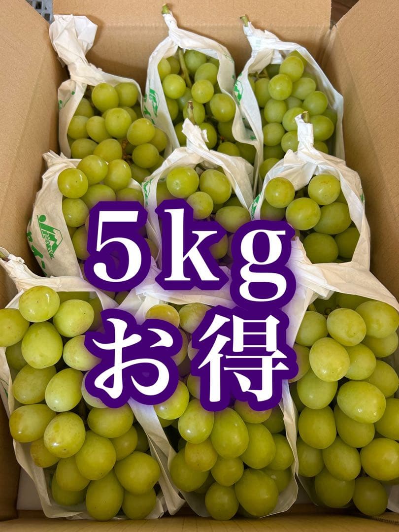 専用　クール　ぶどう　シャインマスカット 正味5キロ　家庭用