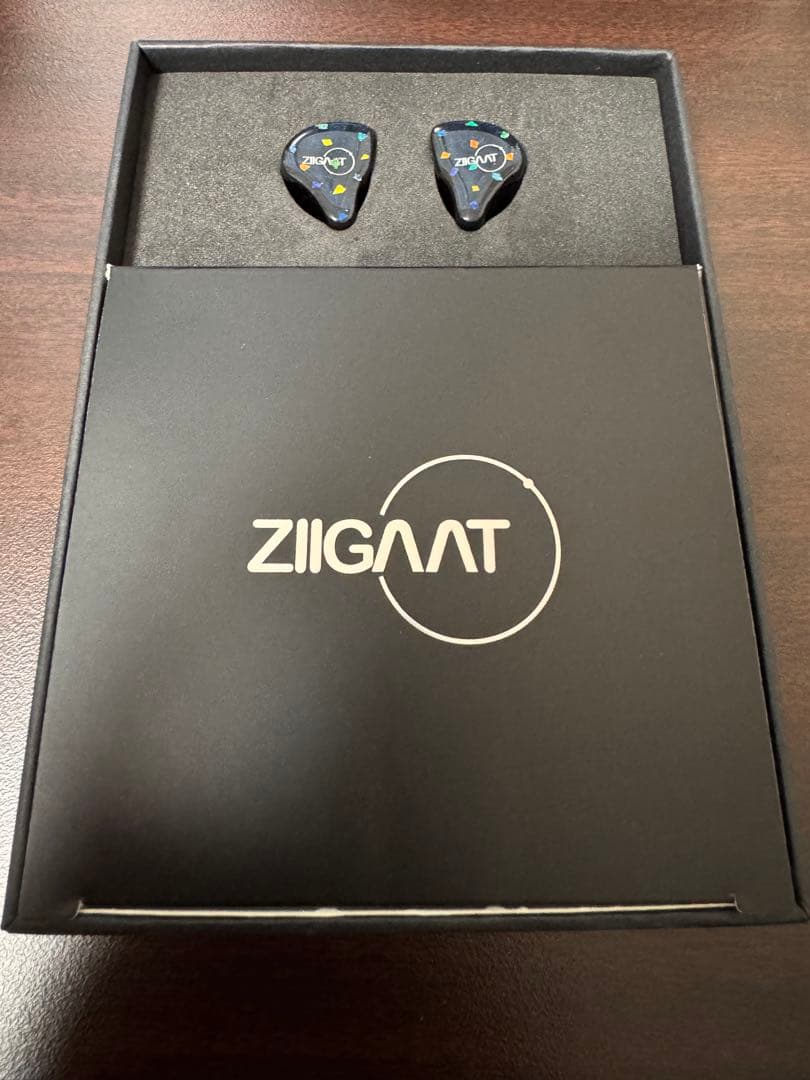 イヤホン Ziigaat Doscinco