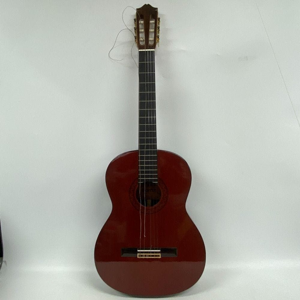 Morris モーリス M-25 ギター 弦楽器 クラシックギター