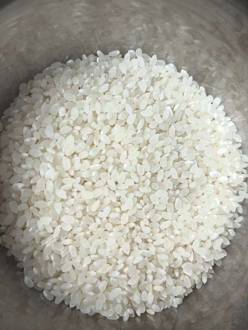 令和7年産　あきたこまち　20キロ