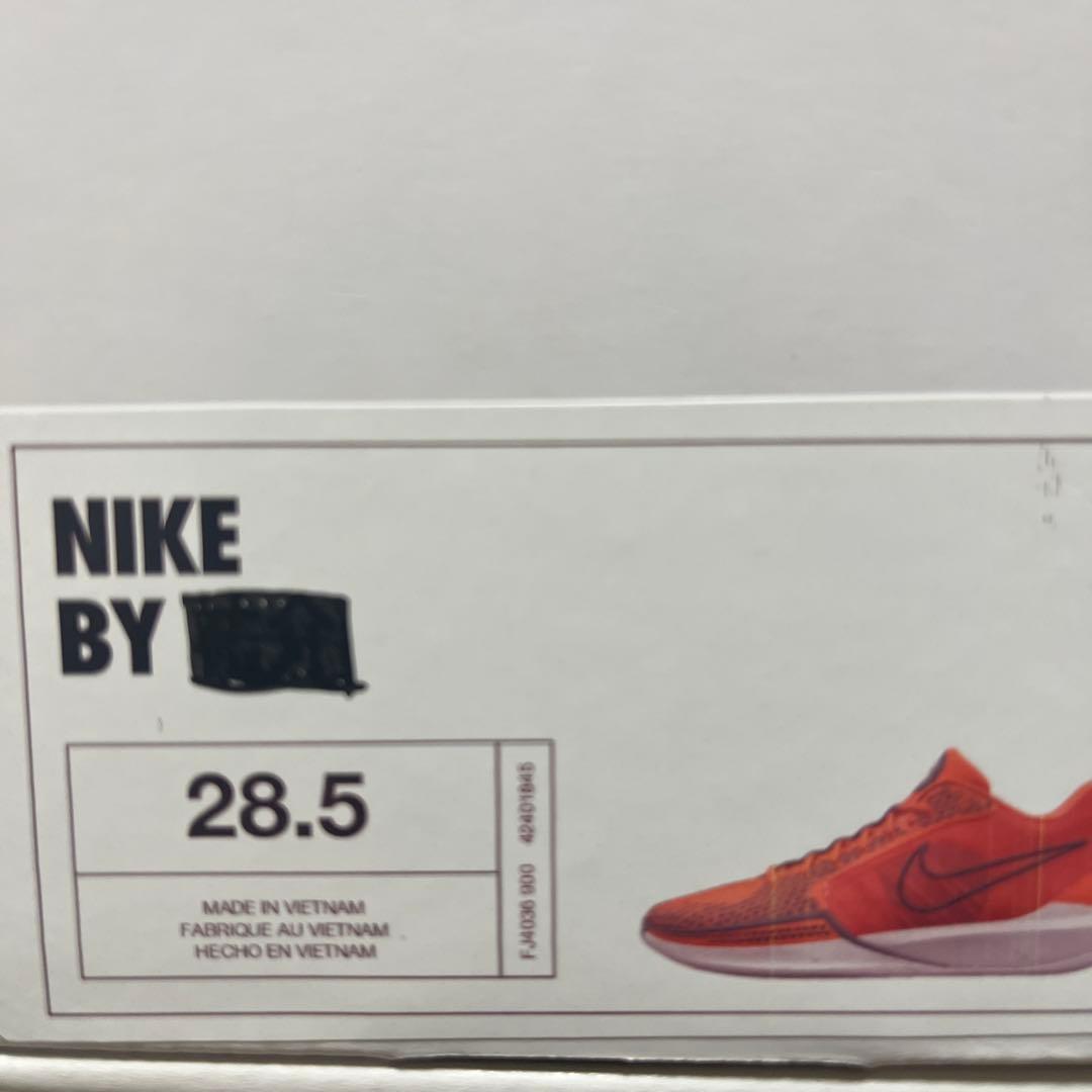 NIKE サブリナ1 ID