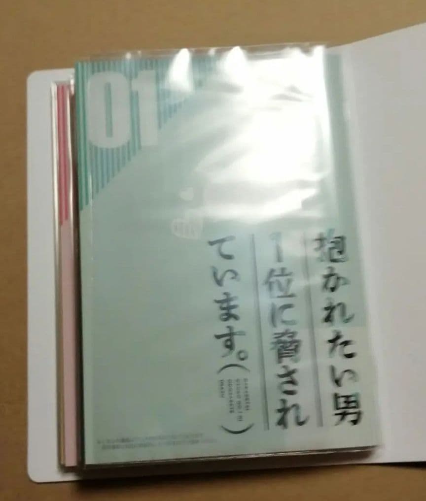 だかいち　アニメイト特典　小冊子　セット