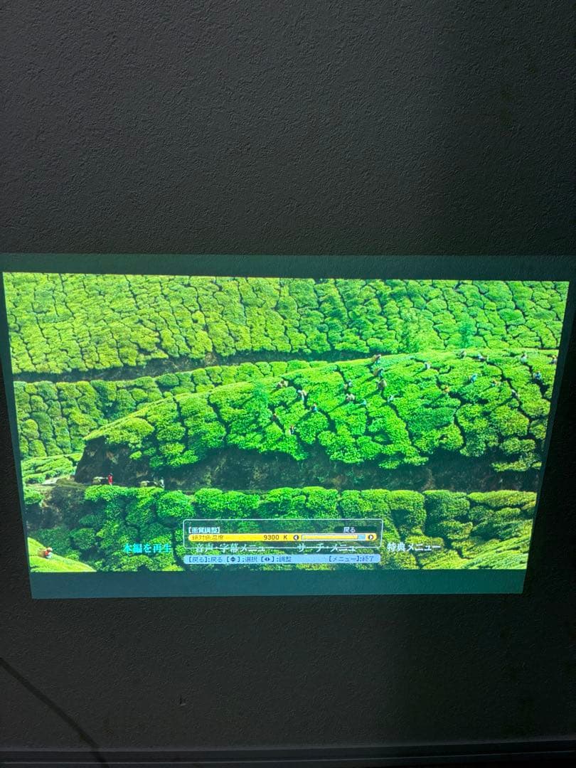 EPSON エプソン プロジェクター EB-1945W 動作良好