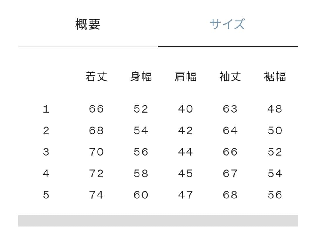 Goldwin デュアルレイヤードロングスリーブフーディー 1