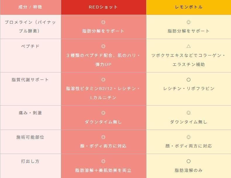 ✨導入サポート付✨ドクタービセア 美容液導入 ノアグロウ同型＋レッドショット1本