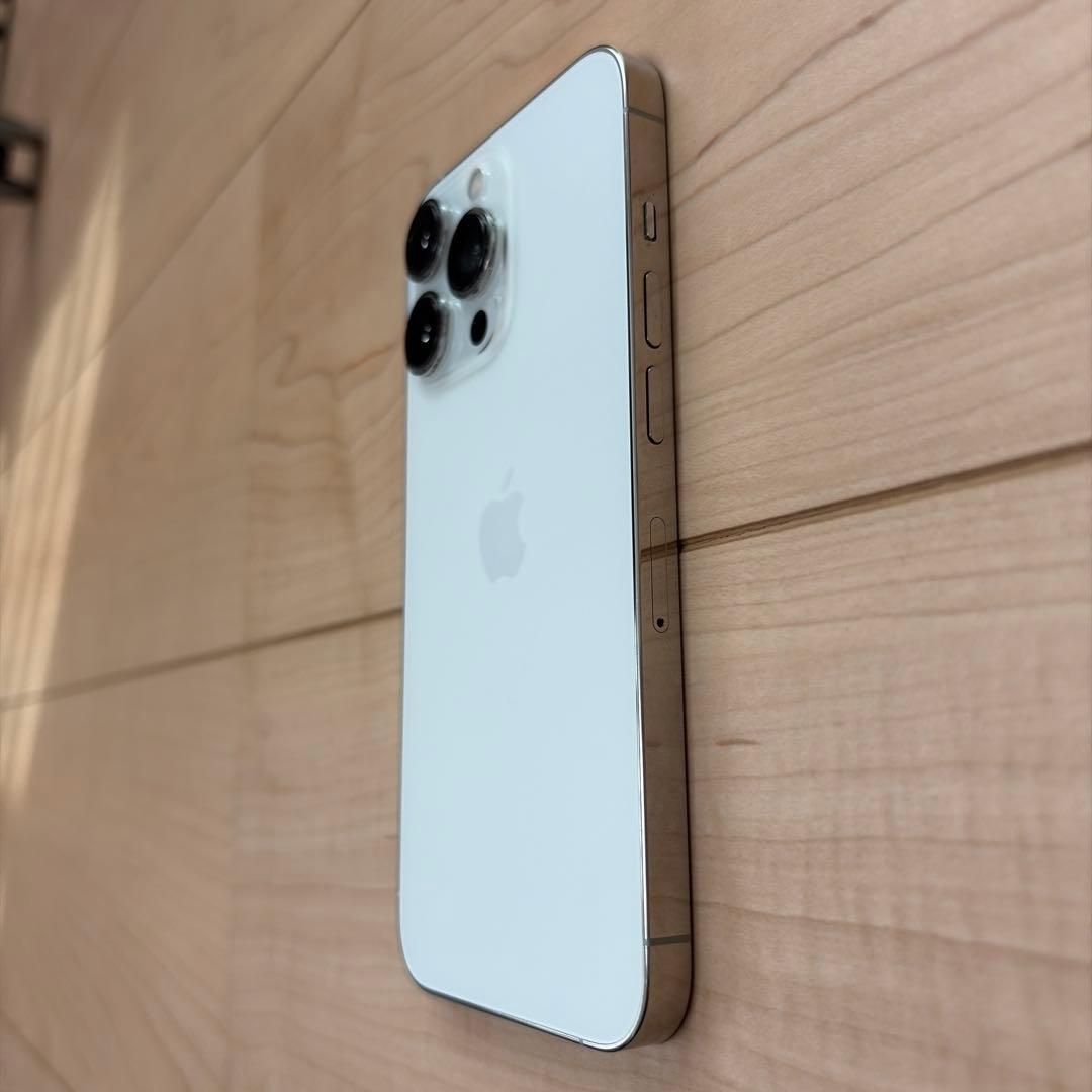 Apple iPhone 13 Pro シルバー 1TB ジャンク品