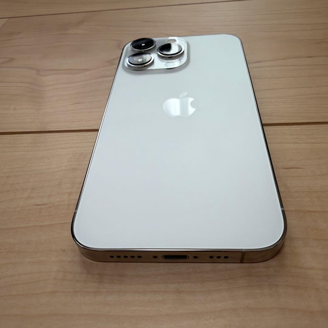 Apple iPhone 13 Pro シルバー 1TB ジャンク品
