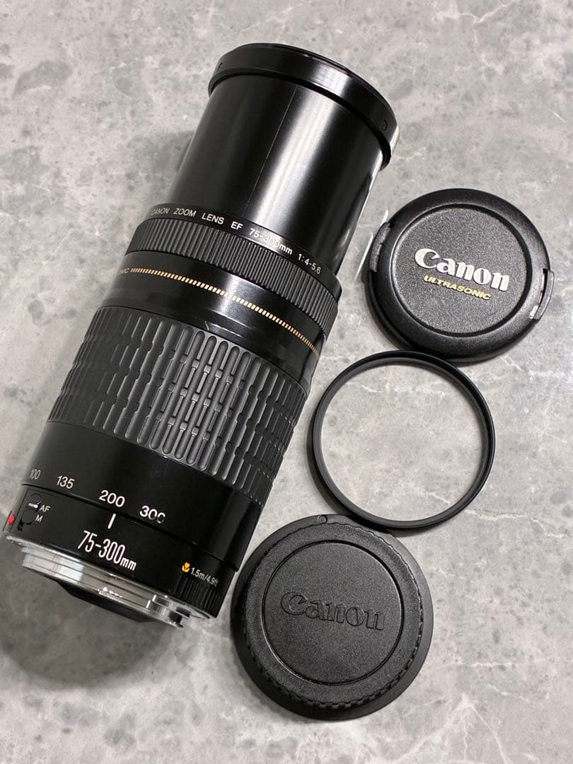 ⭐️美品⭐️Canon EF 75-300mm F/4-5.6 USM 望遠レンズ