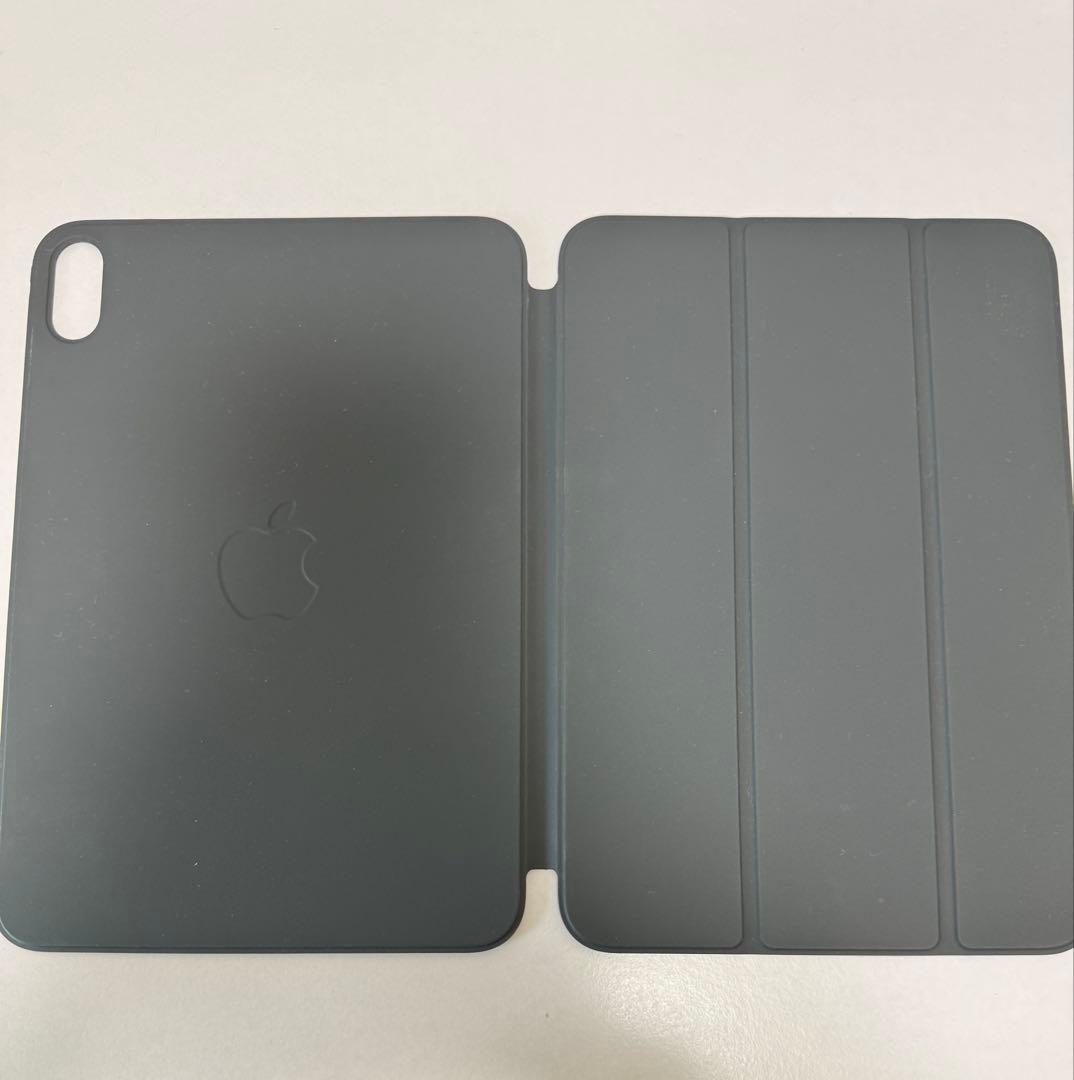 iPad mini（A17 Pro）256GB Cellular 美品