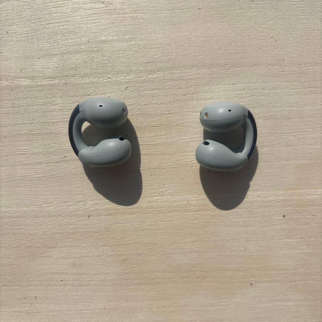 購入予定済み商品