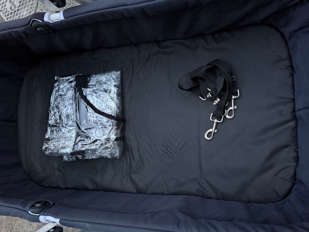 ちわぽめ　ピッコロカーネ　クレア