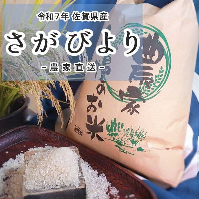 令和7年佐賀県産 さがびより 10kg 農家直送 （玄米）