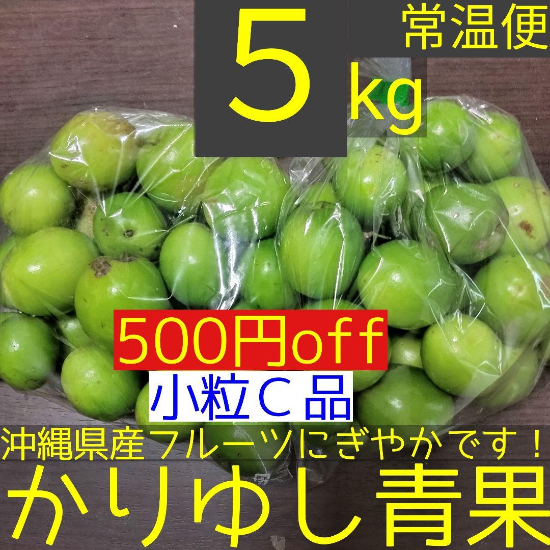 沖縄県産 インドナツメ小粒Ｃ品 約５kg【常温便】2