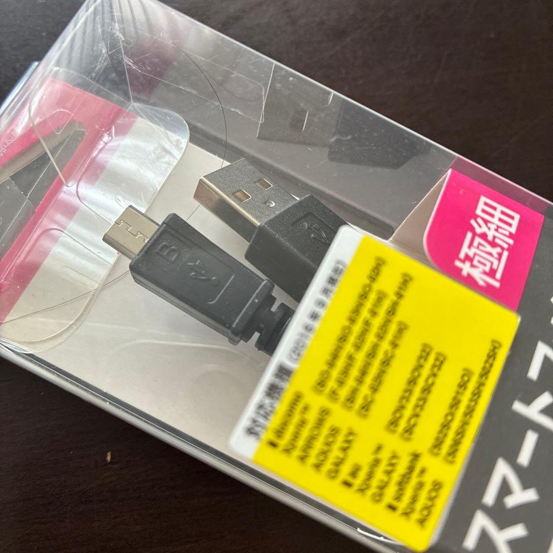 KING JIM ポメラDM30 専用ケースとMicro USBケーブルつき