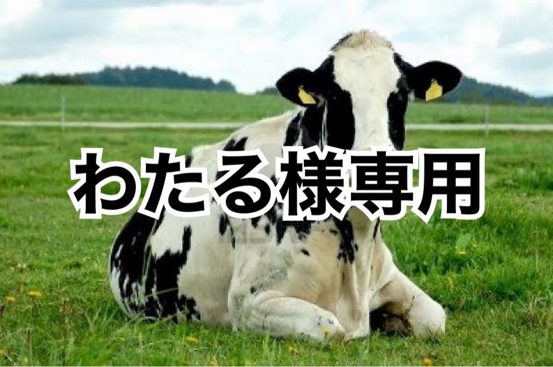 黒10、タン濃10、黒ヘリ10m、チョコへり10m