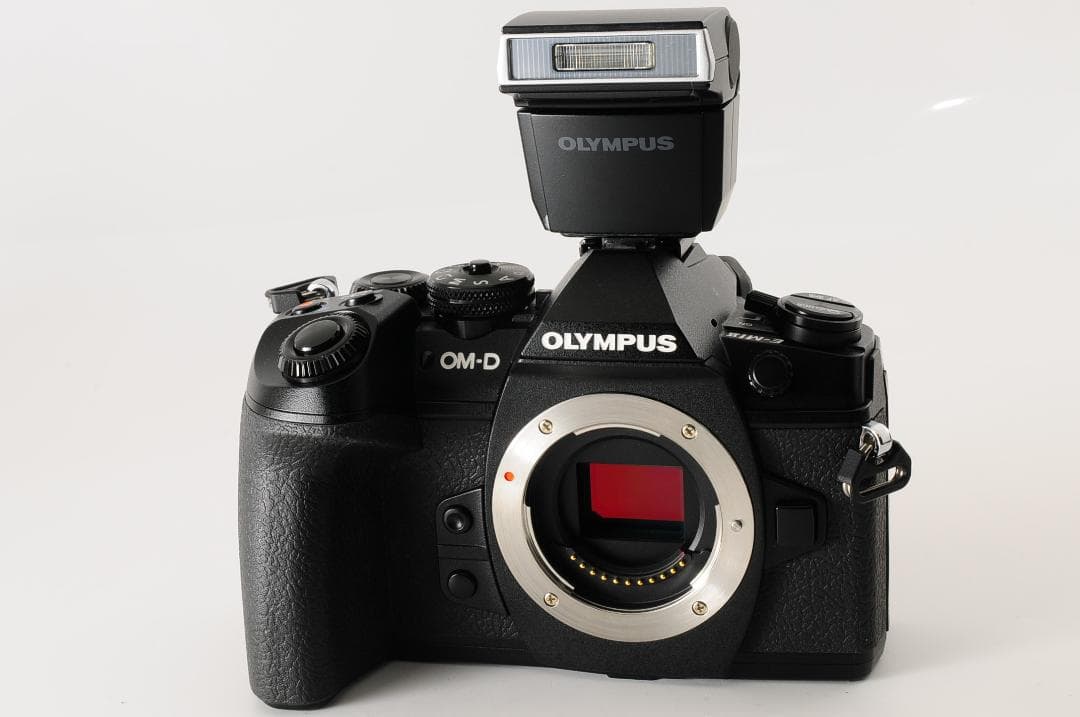 【美品】オリンパスOLYMPUS OM-D E-M1 Mark II ボディ 黒