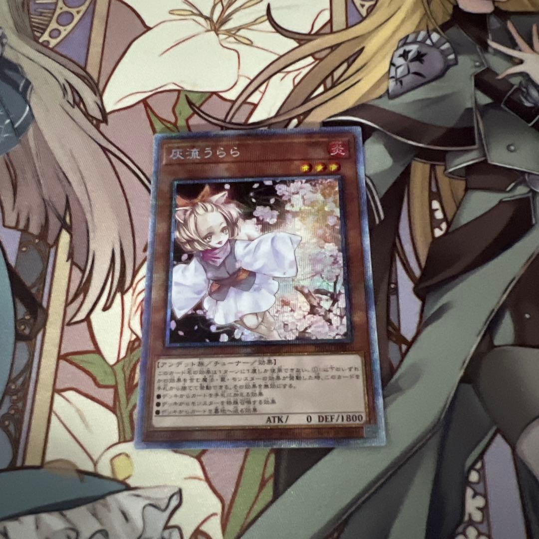 遊戯王OCG 灰流うらら プリシク 管理N-6