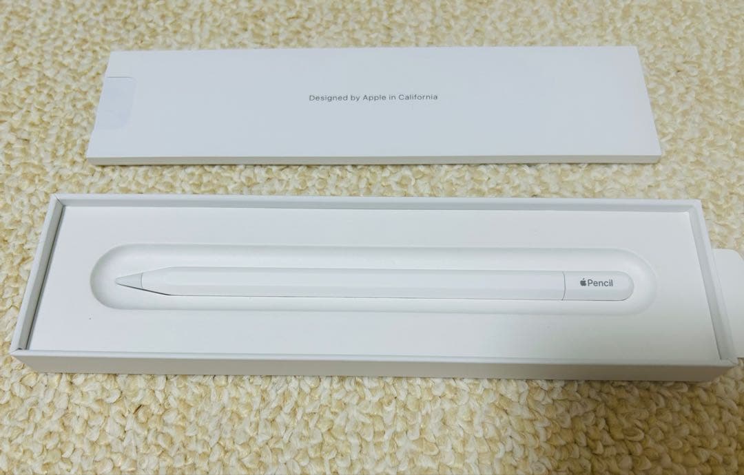iPadアクセサリー Apple Pencil(USB-C)