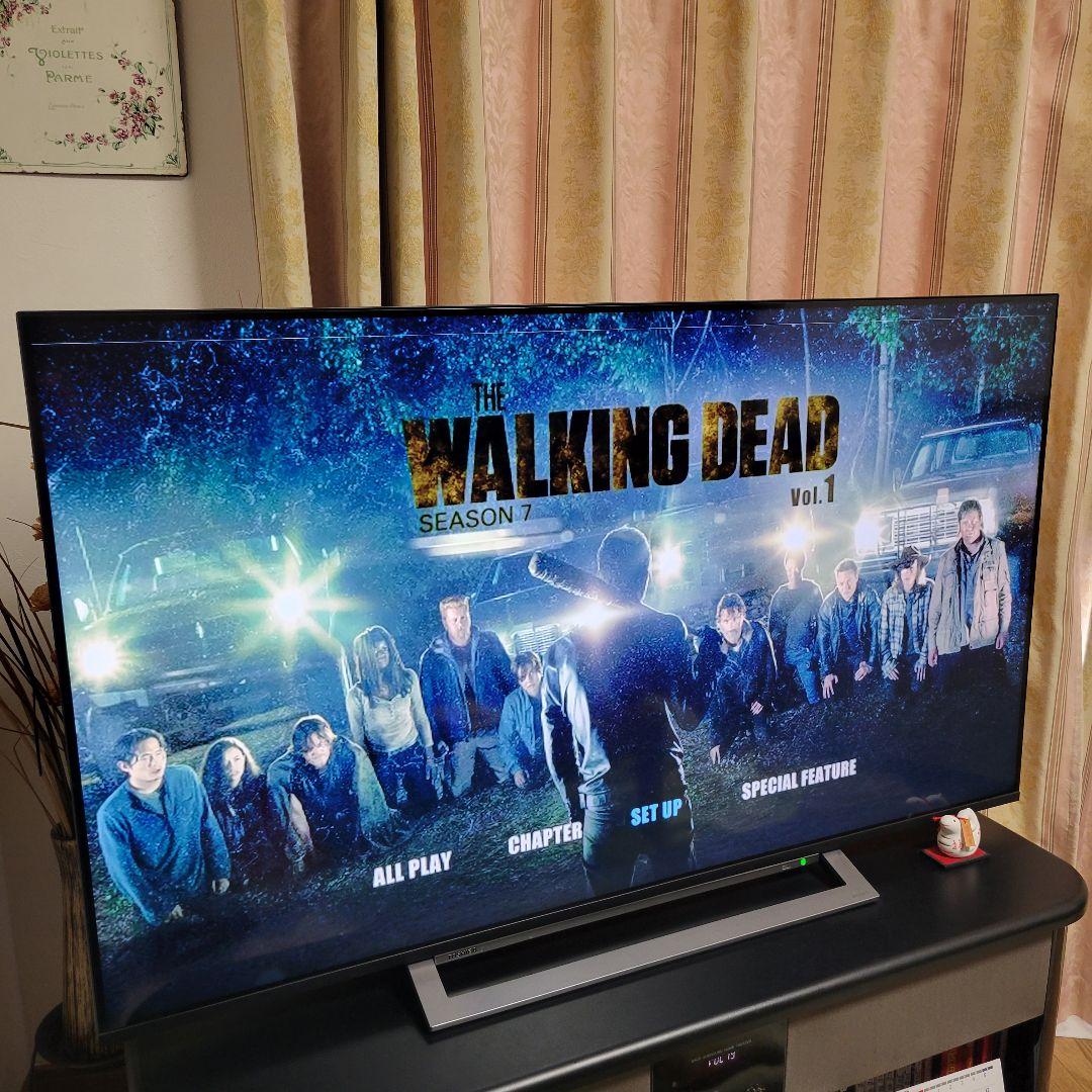 ウォーキング・デッド ◆Season 1～11■コンプリート■