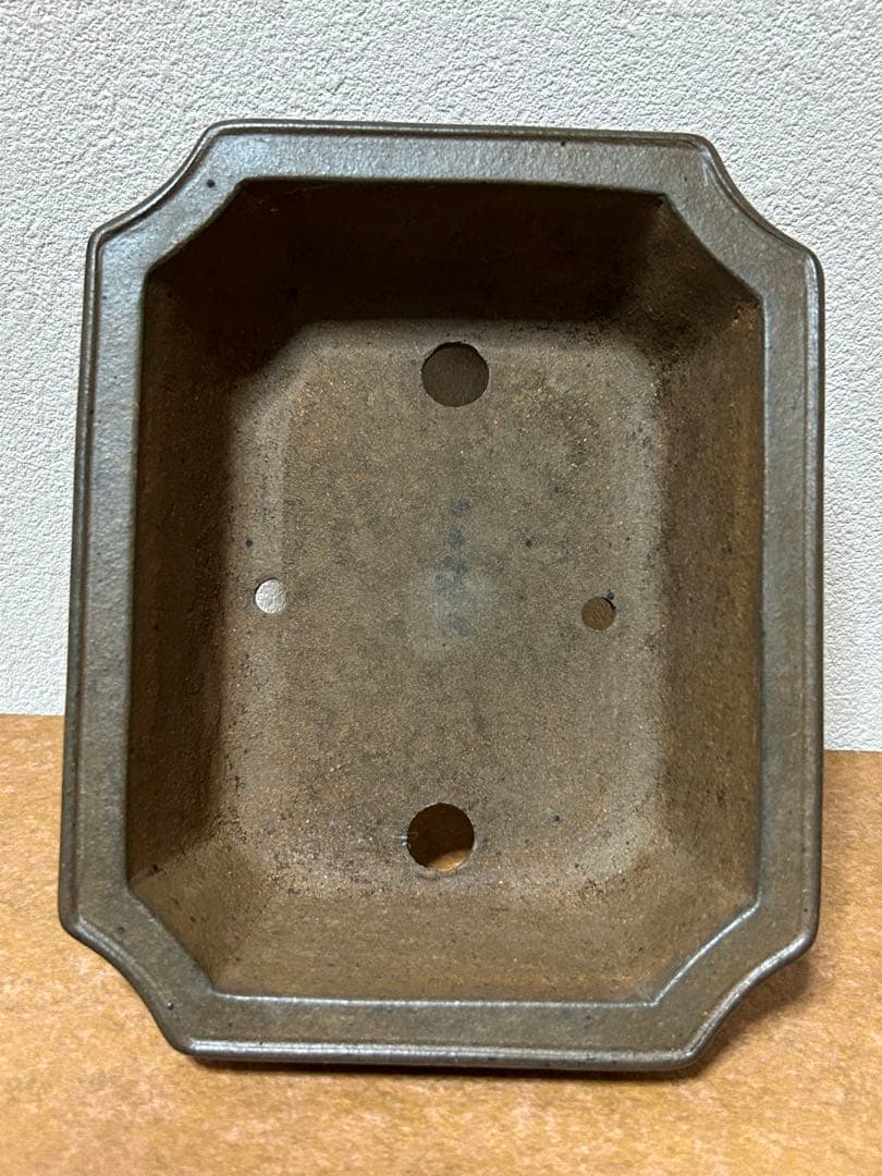 小松泉　秋静庵　小品盆栽　山野草