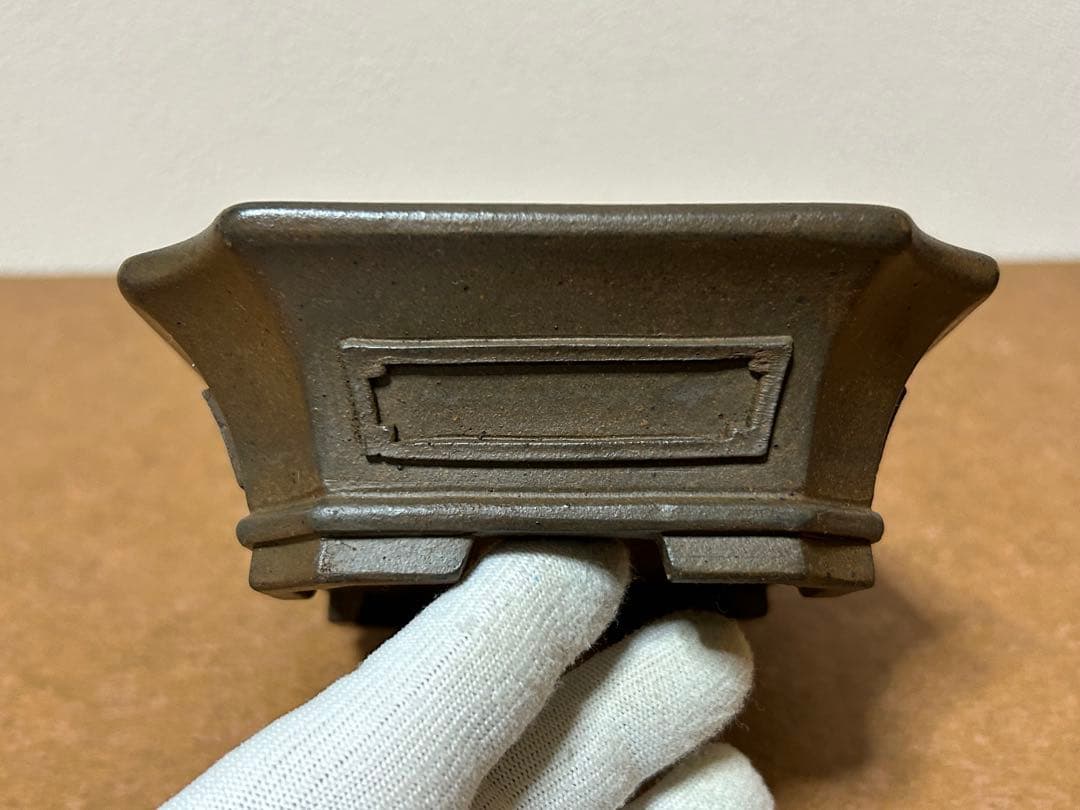 小松泉　秋静庵　小品盆栽　山野草